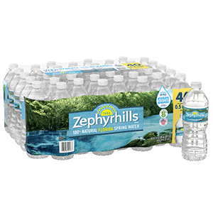 Zephyrhills Spring water product details 500mL 40 pack