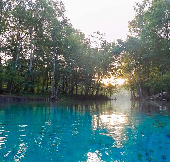 ginnie springs